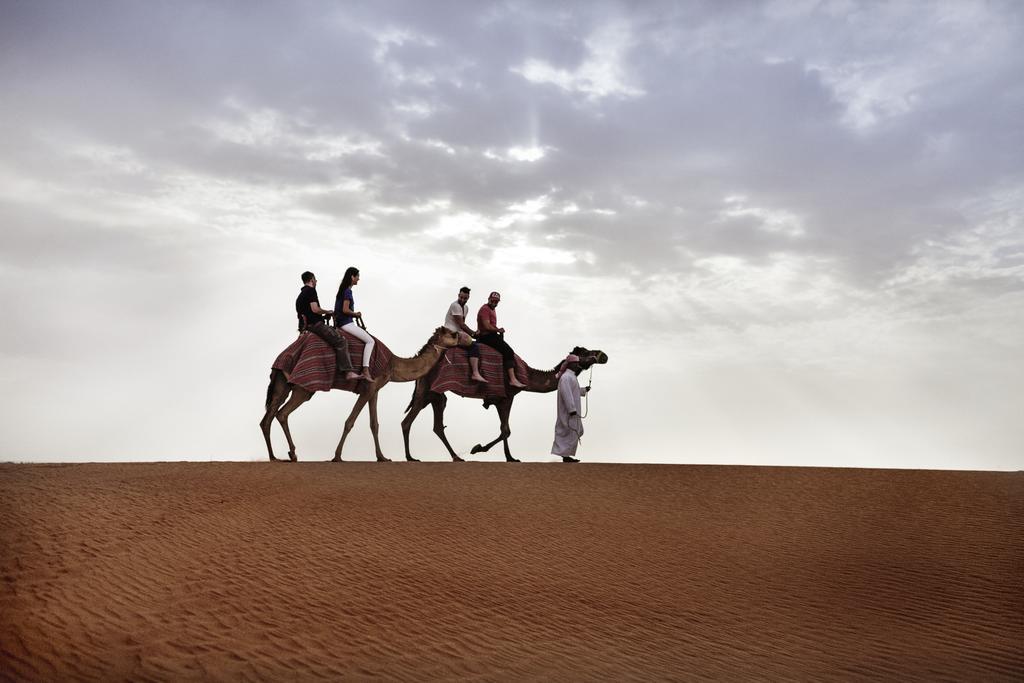 إيبس مركز التجارة العالمي فندق دبي